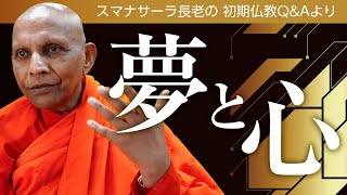 【お坊さんに質問】夢の内容と心の成長に関係はあるのか？　スマナサーラ長老との対話、仏教の教え｜ブッダの智慧で答えます（一問一答）日本語字幕付き