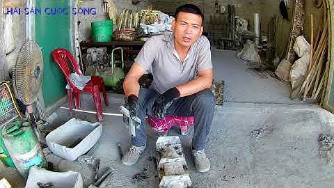 hàng rào bê tông,cách tháo khuôn tài phú kim cương,của hải sản cuộc sống.