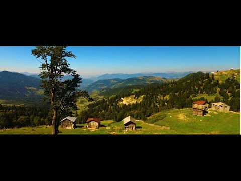 უცნობის ახალი სიმღერა  - ეს საქართველოა