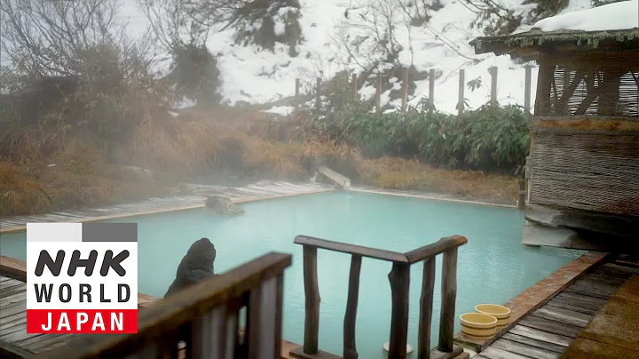 Escape to the Remote Onsen of Tohoku and Experience the Tranquility of Japan's Winter