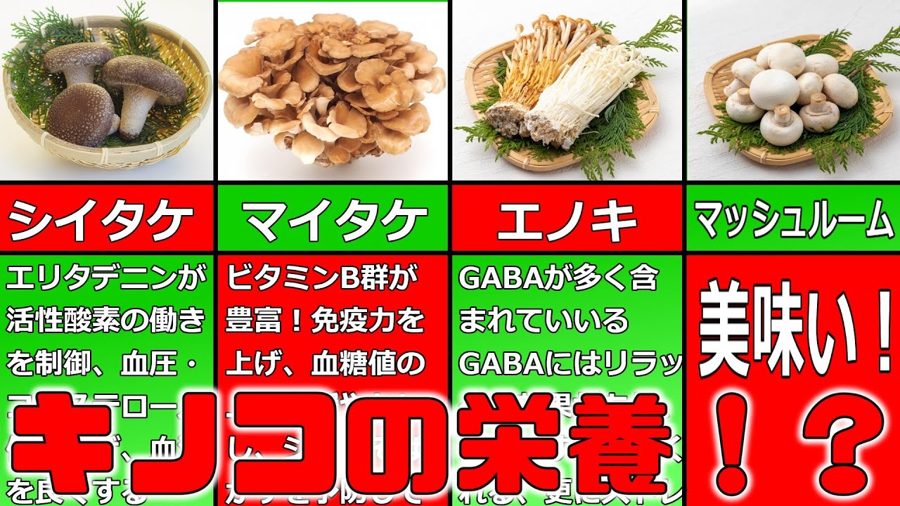 【ゆっくり解説】食べたいキノコはどれ?各キノコの栄養についてゆっくり解説! - YouTube