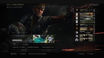 BO4 Beta grind to max level