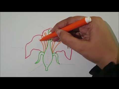 اجزاء الزهرة رسم