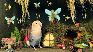 MAKING PRINCE A FAIRY GARDEN