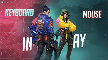 How to Fix Keyboard and Mouse Input Delay for Valorant and Other Games || Techno Punisher