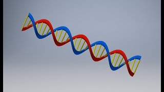 How To Make A Double Helix / DNA Strand In Inventor 2018