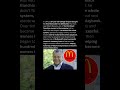 How One McDonald’s Franchise Made History