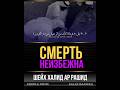 смерть неизбежна - шейх Халид ар Рашид #shorts