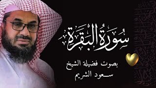 سورة البقرة كاملة بدون اعلانات فضيلة الشيخ سعود الشريم surah baqarah saud shuraim