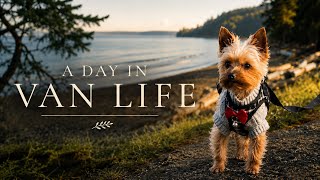 Just an Ordinary Day Living in a Minivan as a Solo Female with a Dog