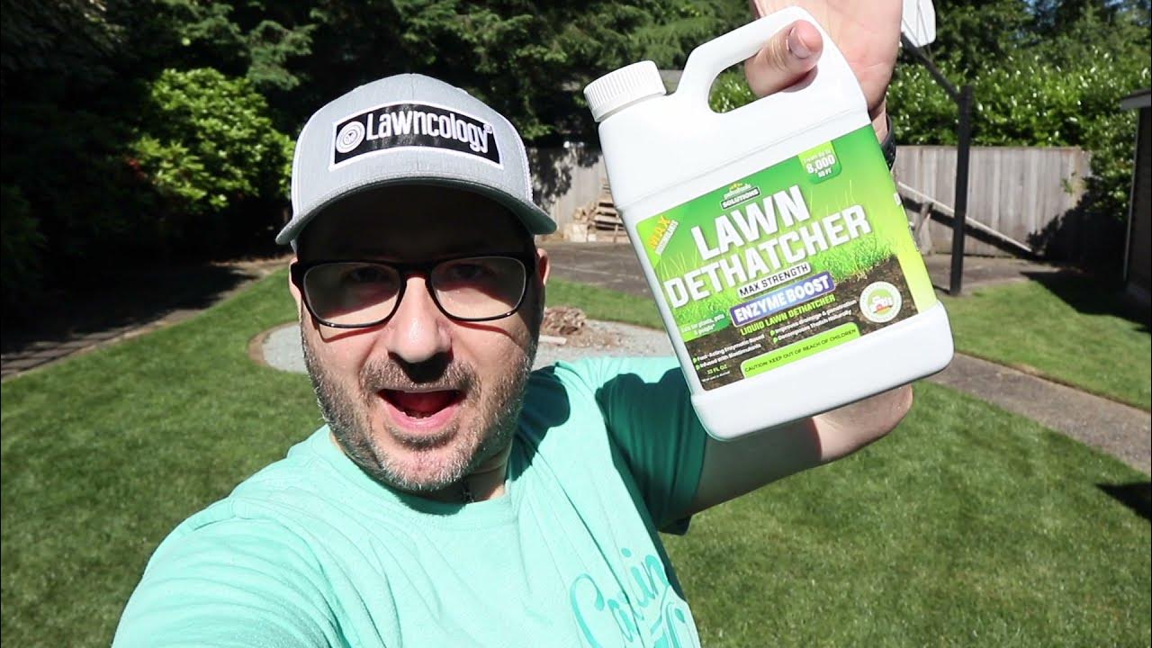 PetraTools Liquid Lawn Dethatcher Review & How To Apply It The Lawn