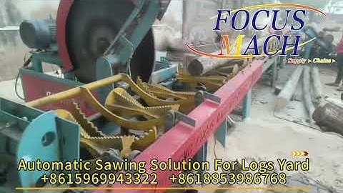 AUTOMATIC SAWING SOLUTION FOR LOGS YARD #plywood #veneers #woodworking #machine #automation #wood