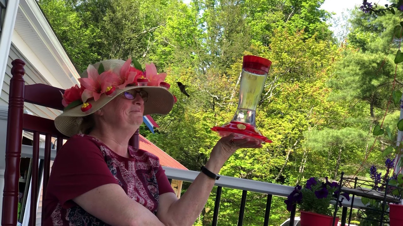 Hummingbird Hat Feeder YouTube