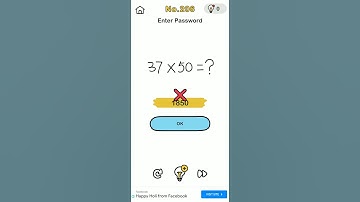 enter password  (brain out  level 206