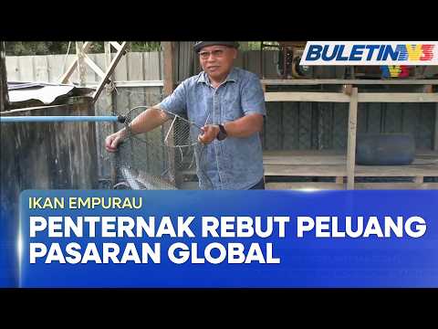 IKAN EMPURAU | Penternak Rebut Peluang Permintaan Tinggi, Pasaran Global (BU)