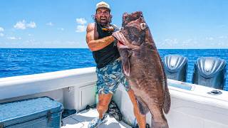 Information Spearfishing in SHARK INFESTED Water with Grant Horvat Update