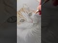 From Beginner to Drawing This Cat!