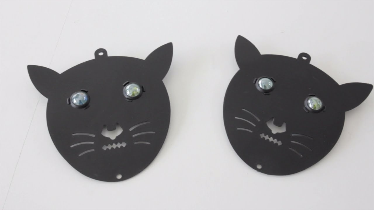 2 effaroucheur tête de chat