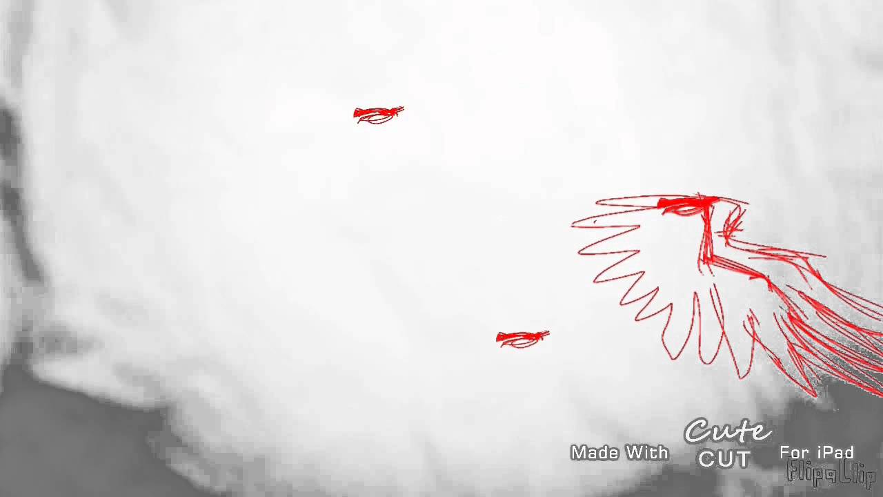 Wing flap animation YouTube