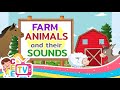 Farm Animals and their Sounds || English Vocabulary || Toddler Preschool and Kindergarten Kids