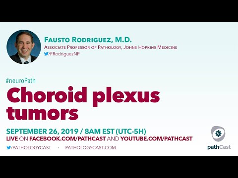 Video: Model Kebudayaan Untuk Mengkaji Penyelidikan Leukocyte Merentasi Plexus Choroid