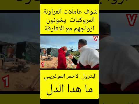 المغرب عاملات الفراولة مع الافارقة السعودية مصر العراق ابلور   