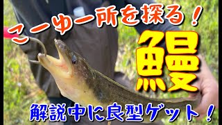 【ウナギの穴釣り】仕掛けからポイント解説まで！