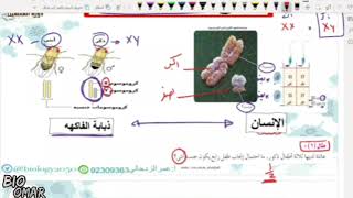 مناقشه مواضيع الاختبار القصير الثالث : تطبيقات الوراثة المندليه ودراسة الصفات الوراثية البشرية