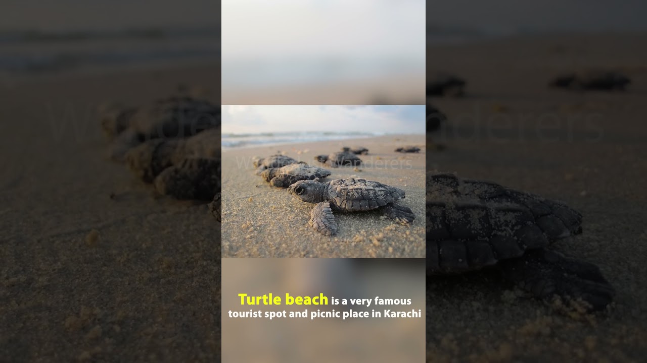 TOP 10 Beaches in Pakistan 