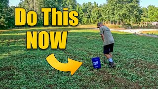 Soil Testing the Critical Step for Great Lawns