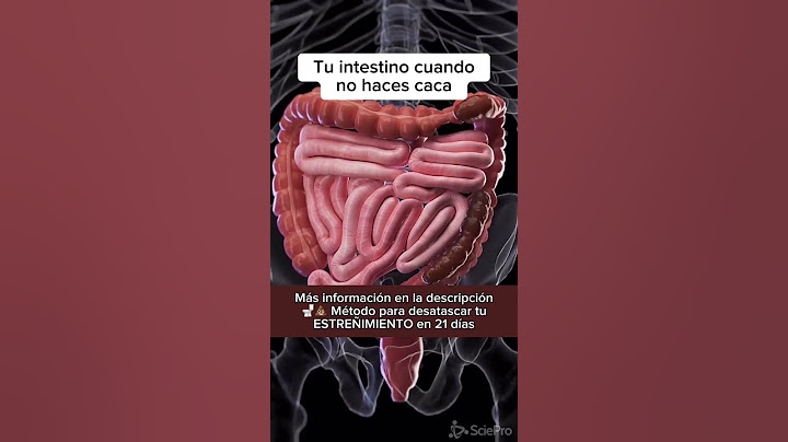 Tu intestino cuando no haces caca