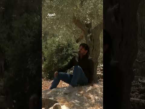 طريق استيطاني يهدد أراضي الفلسطينيين في الضفة الغربية