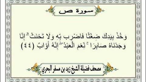 الشيخ زيد البحري Quran  سورة ص