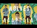 Selena Gomez, Marshmello - Wolves [ACAPELLA VERSION]