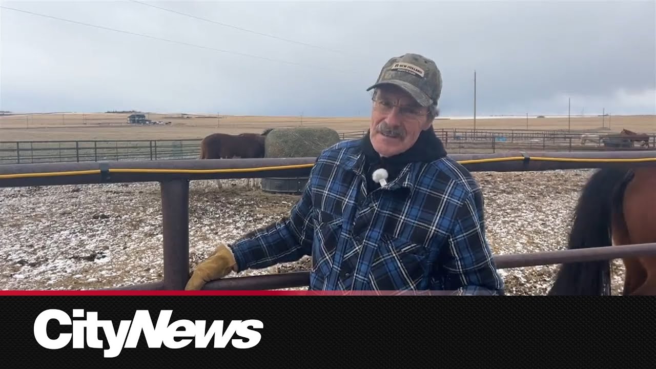 Alberta spring snowfall has some farmers rejoicing - YouTube