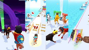 Groomer run 3D 🐕❤️🐩 All Levels Gameplay Android,ios