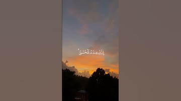 القارئ : ماهر المعيقلي ﴿ لَّا يَسْأَمُ الْإِنسَانُ مِن دُعَاءِ الْخَيْرِ وَإِن مَّسَّه﴾[ فصلت: 49]