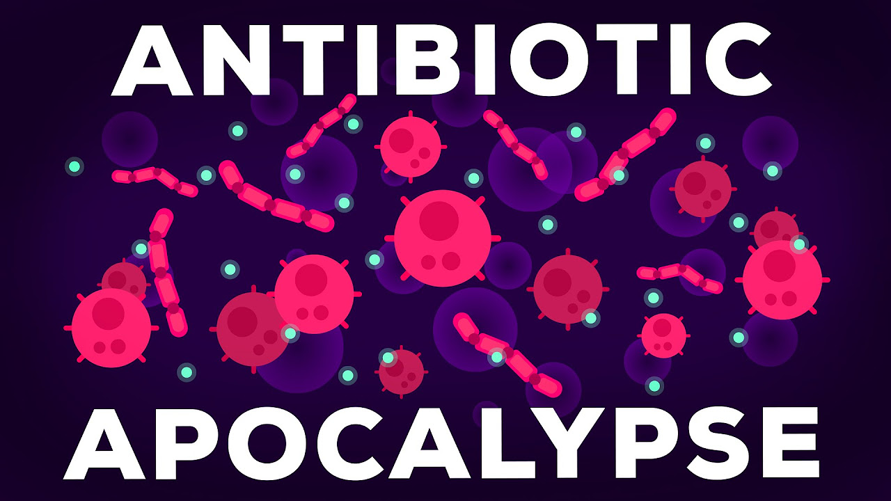 LApocalypse Antibiotique Explique