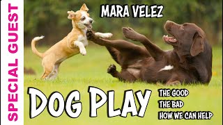 Learn about Dog Play from Expert Mara Velez screenshot 2