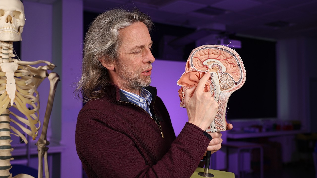 Hypothalamus neuroanatomy