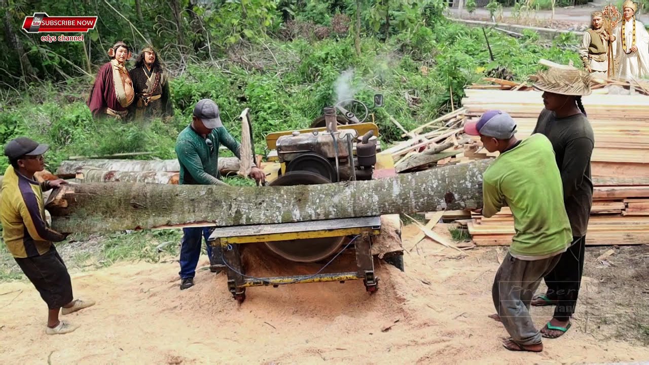 Proses Penggergajian Kayu  Kelapa sawmill YouTube