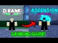 Grinding guide d rank to ascension  a heros destiny