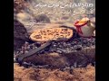 صباح الخير من قلبن صباحه صباح الخير من قلبن صباحه