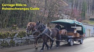 Carriage Ride to Hohenschwangau Castle