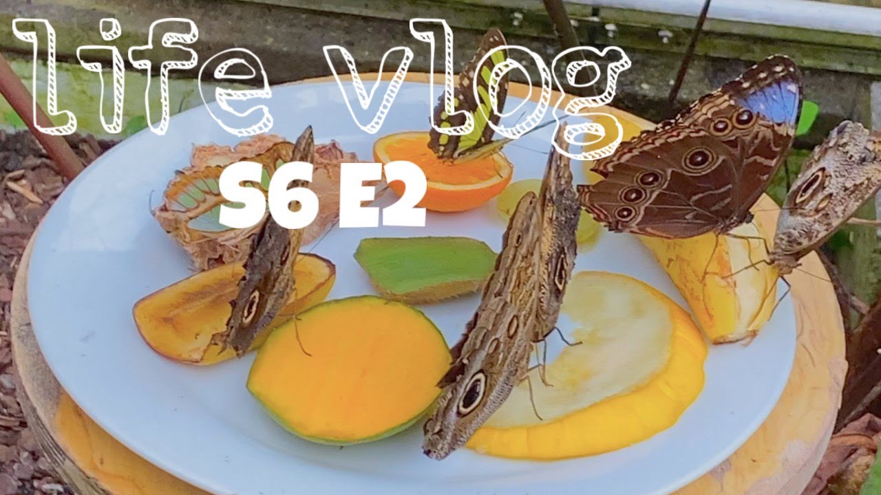 london vlog | museums, aquarium, haidilao, lights - ft SHEIN