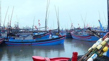 Đảm bảo an toàn cho tàu thuyền tránh bão số 10 | QNgTV