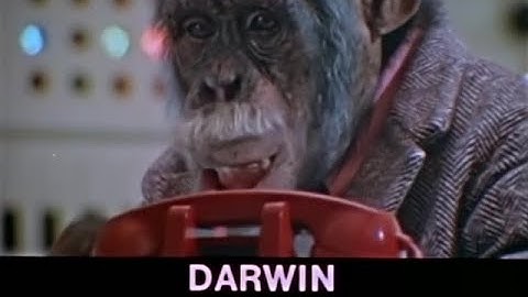 Lancelot Link E04 CHUMP takes a Holiday To Tell the Truth