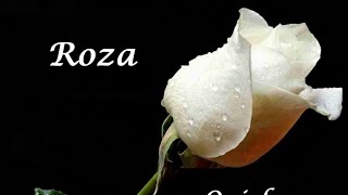 Roza Dersim #mikailaslan #ahmetkaya #ahmetaslan #rinde #zazaca #kürtçe #viral #keşfet