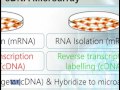 BT734 Research Methods in Biotechnology Lecture No 189