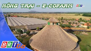 Nông Trại E - Cofarm